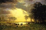 The_Buffalo_Trail Albert Bierstadt